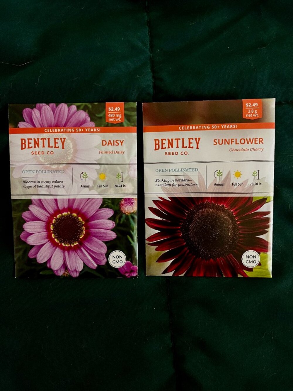 🍒 5/$25 🍒 GARDEN SEEDS | Chocolate Cherry Sunflower & Painted Daisy